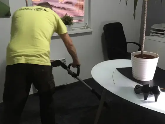Tepovanie koberca v kancelárii: muž s nástavcom na tmavom koberci, vedľa okrúhly biely stôl a veľká rastlina