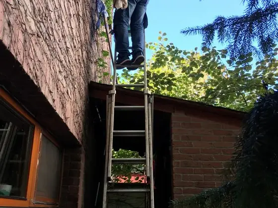 Umývanie okien z rebríka pri tehlovom dome pod zelenými stromami